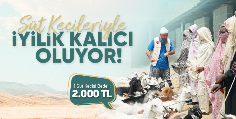 Afrikalı ailelere damızlık süt keçisi dağıtarak iyiliği kalıcı hale getiriyoruz.